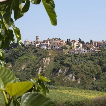 Hotel Del Picchio